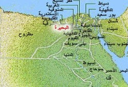 مزارعو مدينة الحمام بالبحيرة يستغيثون بالرئيس من العصابات المسلحة