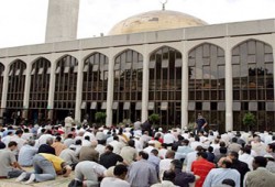 مجلس أوروبا: حان الوقت للاعتراف بالمسلمين كجزء لا يتجزأ من المجتمعات