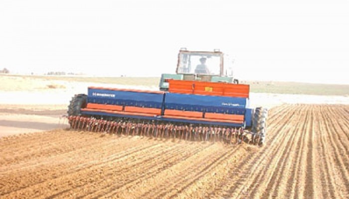 د. عبد التواب بركات يكتب: نحو اكتفاء ذاتي من القمح والخبز المصري