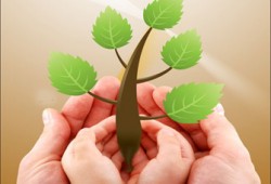 أمي ترفض سفر زوجتي لي ماذا أفعل؟