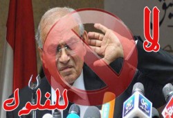 أنصار شفيق يستخدمون "الطفل الدوار" بعد محاضر تصوير بطاقة الانتخاب!!