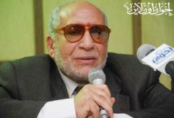 المستشار الخضيري: حكم الدستورية وصمة عار والميادين طريقنا