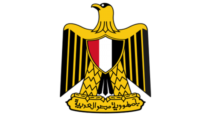 المطلوب من رئيس مصر القادم "ندوة بقصر ثقافة الطفل"