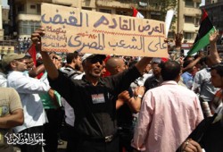 الشعب المصري يكشف معادلة خطة سرقة ثورة