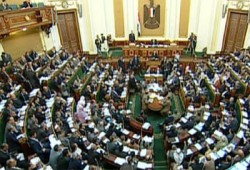 مجلس الشعب يوصي بحل مشاكل الفلاحين ودعم القطن المصري