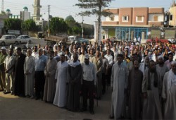 فعاليات مكثفة لتأييد مشروع النهضة ود. مرسي بالبحيرة