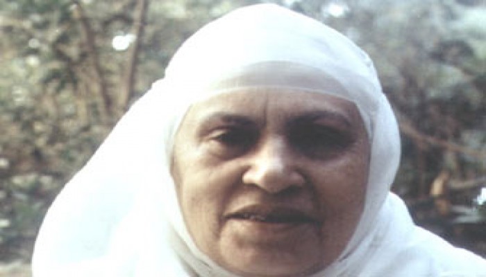 أحمد عاشور ينفي وقف مسلسل زينب الغزالي