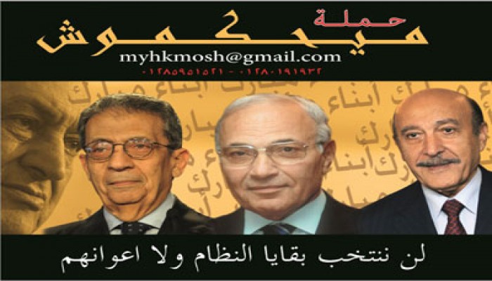 حملة مناهضة فلول الرئاسة تدعو إلى تكثيف الجهود