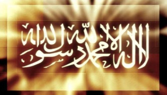 فشل التجمع الدولي المناهض للإسلام في الدنمارك