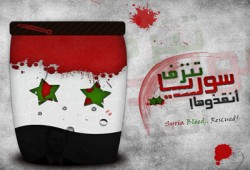 الدَّمعُ مِن بَرَدَي يَسيل.. شعر أشرف محمد