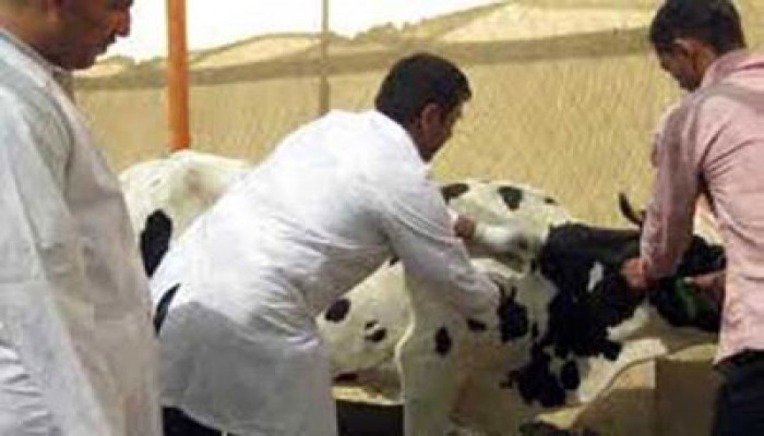 نائب الفيوم يبحث أزمة الري مع المحافظ
