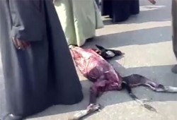 الحمى القلاعية.. مصيبة حكومية!!