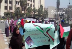 "أمة تنزف.. وشعب يضمد الجراح" حملة لنصرة سوريا وفلسطين بجامعة الفيوم