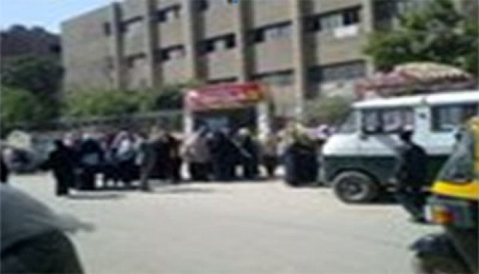 إقبال ملحوظ بلجان الشورى في شبرا الخيمة