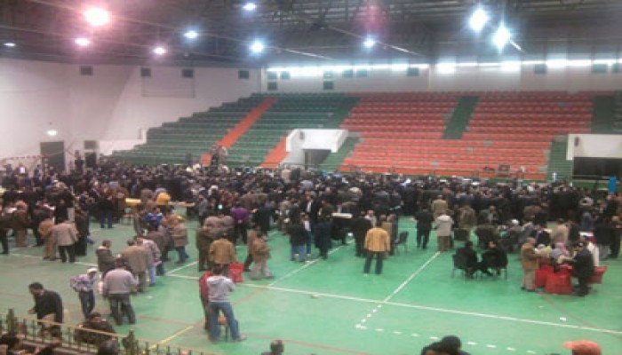 المؤشرات الأولية تظهر تقدم الحرية والعدالة بالقليوبية