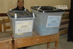 إقبال محدود على لجان الشورى بكفر الشيخ