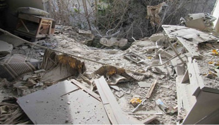 تزايد أعداد الشهداء بسوريا وتأييد واسع للجيش الحر