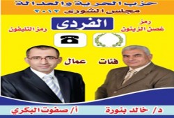 فوز البكري وبنورة بمقعدي الدائرة الأولى بالدقهلية