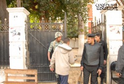 لجان "مصر القديمة" بلا ناخبين أو مندوبين