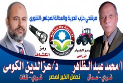 مرشحا "الحرية والعدالة" بقنا يخوضان الإعادة