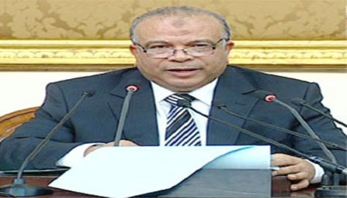 د. سعد الكتاتني: الثورة مستمرة حتى تحقق جميع أهدافها