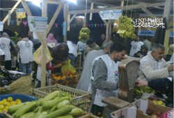 17 سوقًا خيريةً و10 قوافل لـ"الحرية والعدالة" والإخوان بدمياط