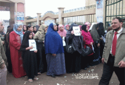 القليوبية.. قضاة "مجول" يغادرون بعد مشادات مع الأمن