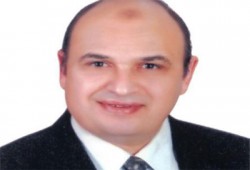 د. صبحي عطية: جولة الإعادة بالدائرة الأولى بالدقهلية تبدأ غدًا