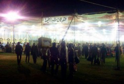 بدء الفرز في دائرة شبرا الخيمة والقناطر الخيرية