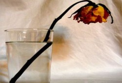 عزة مختار تكتب: عزيزتي الحماة مهلاً..