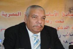 بث مباشر لوقائع الفرز عبر الشاشات بشوارع المنيا