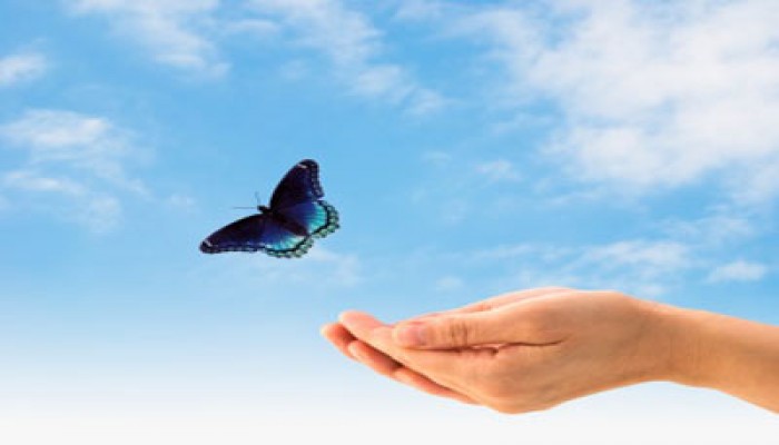 د. محمد منصور يكتب عن: ضابط الحرية