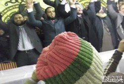 مرشحا الحرية والعدالة في الجيزة يفوزان بمقعدي الدائرة الأولى