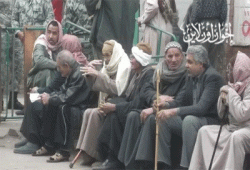 تزايد الإقبال على لجان أطفيح والصف والعياط بالجيزة