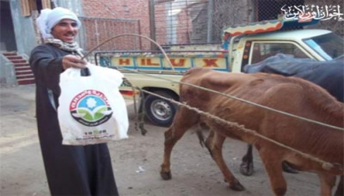 بلاغ لـ"الحرية والعدالة" بالسويس ضد تجاوزات بعض القضاة