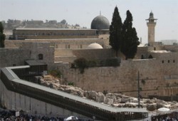 غدًا.. وقفة بدار الحكمة ضد إغلاق "باب المغاربة"