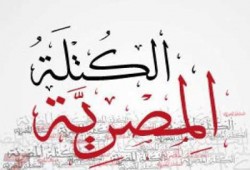 مندوبو "الكتلة المصرية" بالدائرة الثانية يعطلون التصويت