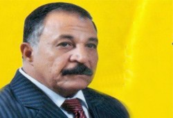 ناصر عثمان: الشعب قادر على إسقاط الفلول في الإعادة