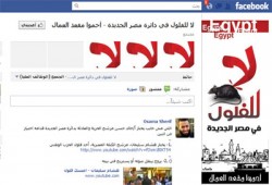 حملة ضد الفلول في مصر الجديدة بعنوان "احموا مقعد العمال"