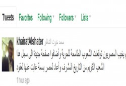 الشاطر: المصريون أعادوا للوطن بسمته