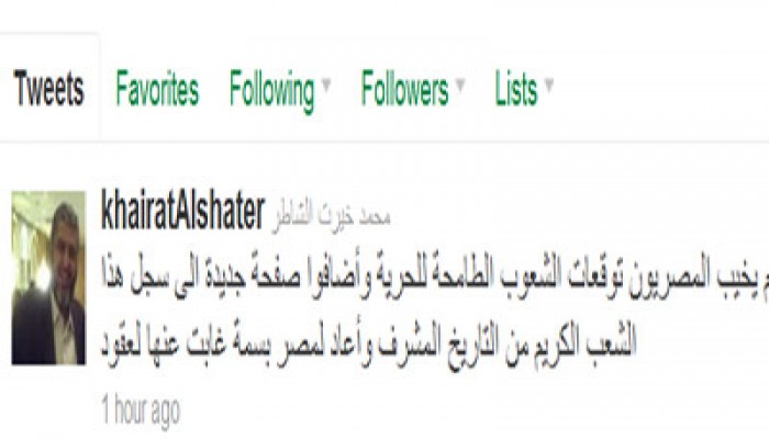 الشاطر: المصريون أعادوا للوطن بسمته