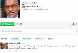 المرشد العام: روح الانتخابات تبني مصر الحديثة