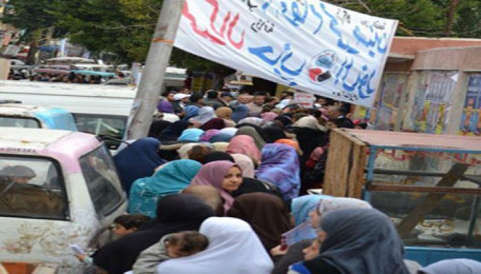 حملة "امسك فلول" تواصل عملها أمام لجان الإسكندرية