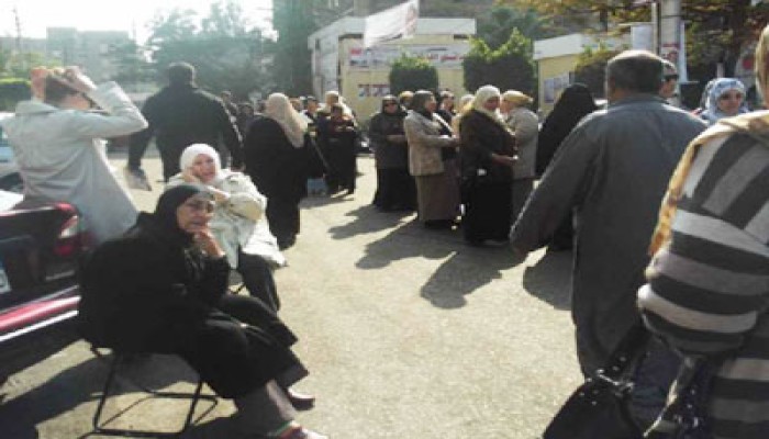عجائز مصر الجديدة.. عرائس الديمقراطية