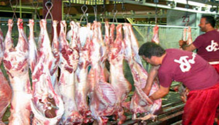 الشباب وعيد الأضحى.. التطوع "ديليفري"