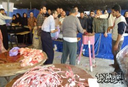 7 أسواق خيرية لـ"لحرية والعدالة" بدمياط