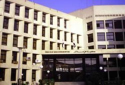 "أحرار إعلام" تنظم معرضًا ثقافيًّا بجامعة القاهرة