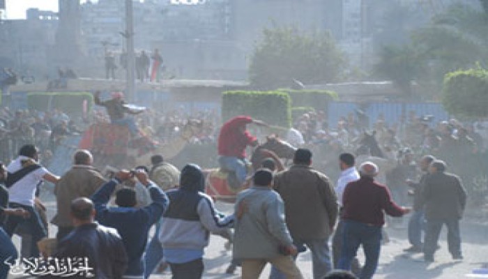 القوى السياسية بأسيوط تتوحد ضد فلول الوطني