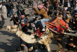 أحد المتورطين في "موقعة الجمل" يرشح نفسه للانتخابات!