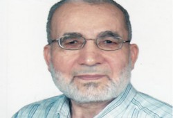 الإخوان المسلمون.. رؤيا شهيد